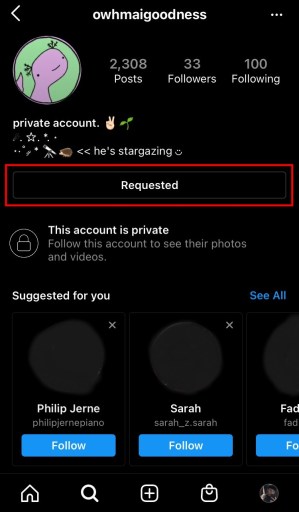 Hur man ser ett privat Instagram-konto